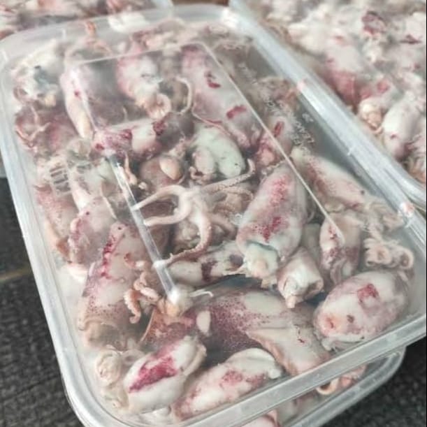Baby Cumi Asin Rebus - Isi Full Telur